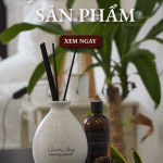 KÝ GỬI, ĐẶT ĐỂ SẢN PHẨM